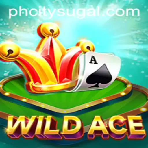 Unveiling the Thrilling World of WildAce in PH City